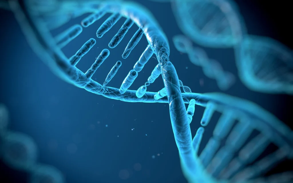 DSIP Epithalon Peptides Stack UK from Reta Peptide Lab
