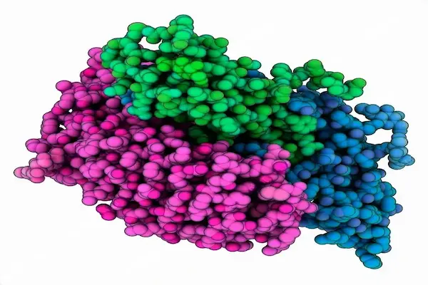 Exploring the Differences Between HMG and Recombinant FSH - PharmaLabGlobal