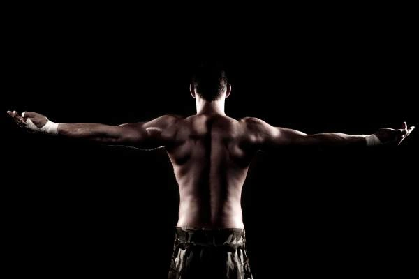 Buy GDF-8 Myostatin from PharmaLabGlobal