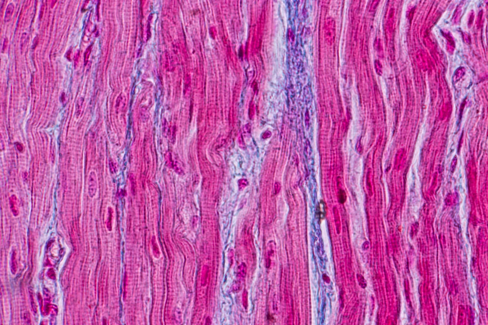 Buy Hexarelin peptide UK for Heart Tissue Regeneration at Reta Peptide Lab