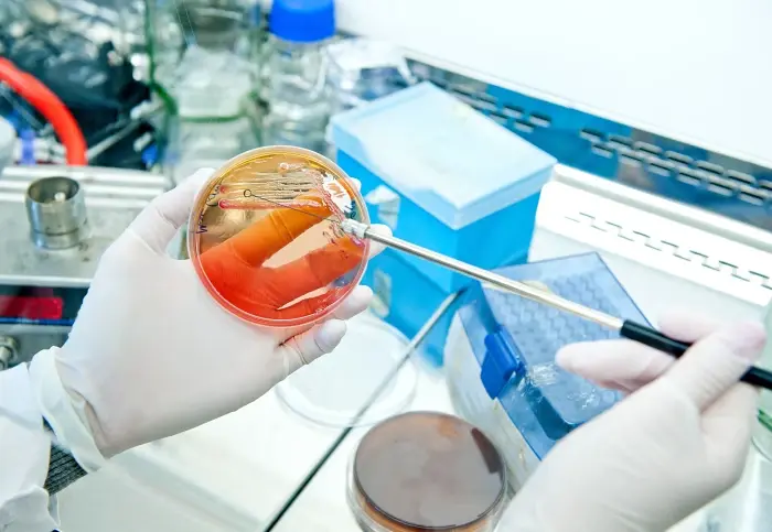 KPV Peptide for IBS Therapy