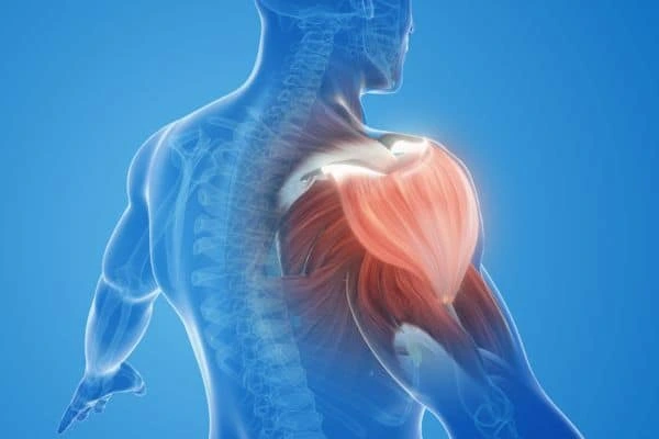 Muscle Recovery with Ipamorelin and GHRP-6 Peptides [name] from pharma lab global