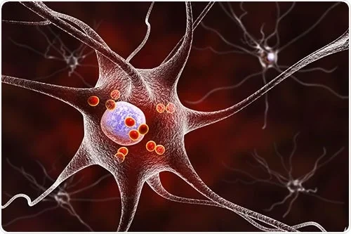 Neurodegenerative Disease Treatment with FOXO4-DRI Peptide UK from Reta Peptide Lab
