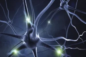 Neuroprotection peptide at Reta Peptide Lab