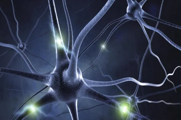 Neuroprotection peptide at Pharma Lab Global