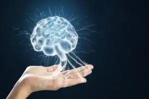 Comparing Pinealon, Semax, and Selank in cognitive research models from Reta Peptide Lab