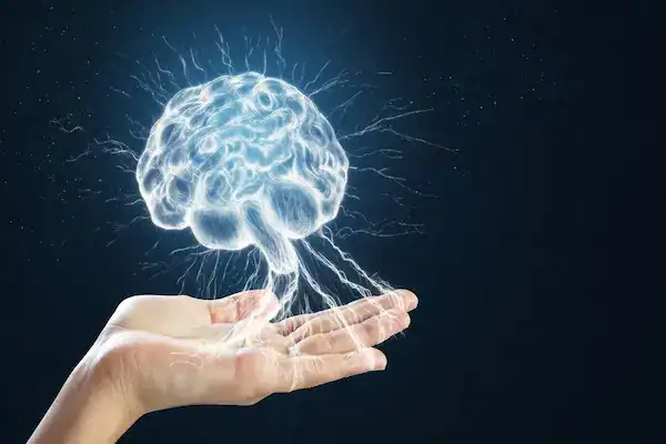 Comparing Pinealon, Semax, and Selank in cognitive research models from Pharma Lab Global