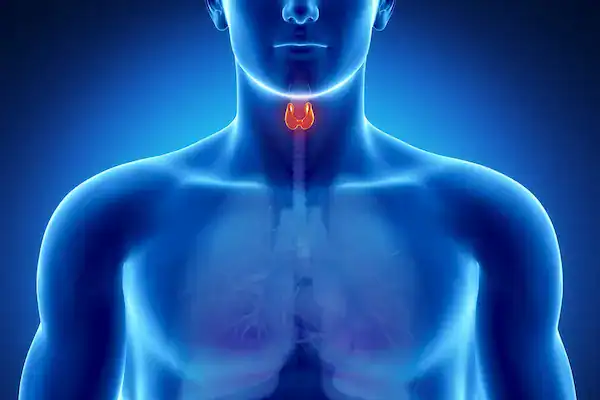 Explore Protirelin and its role in thyroid function from PharmaLab Global