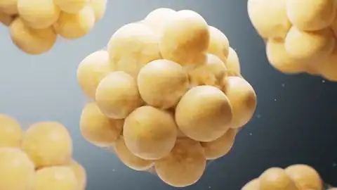 5-Amino-1MQ Peptide for Reducing White Adipose Tissue at Reta Peptide Lab