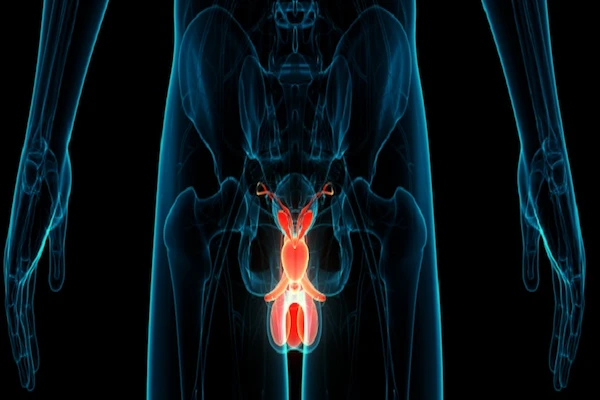 Triptorelin for Prostate Health from Pharma Lab Global
